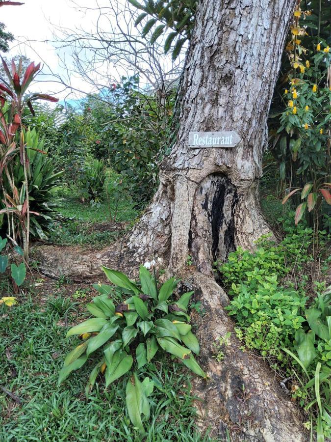 Forest Garden Residence Bilar Ngoại thất bức ảnh